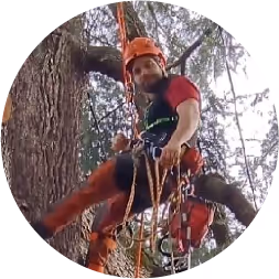 Arboglobe - Specialisti nella gestione di patrimoni arborei