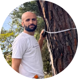 Arboglobe - Specialisti nella gestione di patrimoni arborei